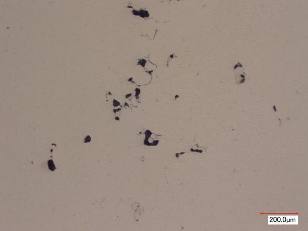 A polished material cross-section with scattered dark pore-like features and a 200 micrometer scale bar.