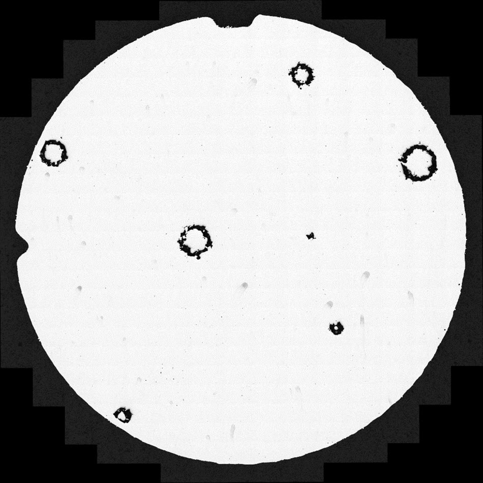 A RoboMet serial-section image showing the physically confirmed pore distribution.