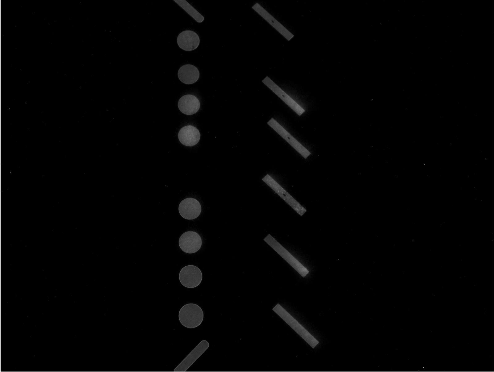 Optical tomography image of layer 2598: dog bones and round bars glowing on the build plate.